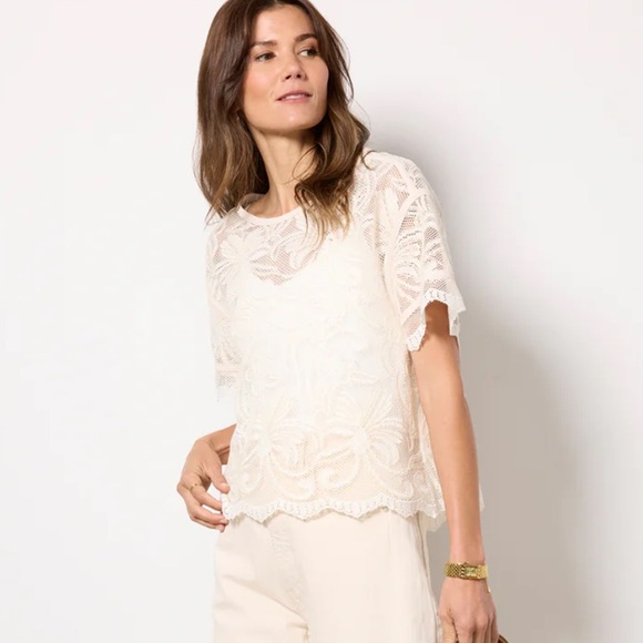 Evereve Lily Lace Dolman Sleeve Tee - Picture 1 of 6